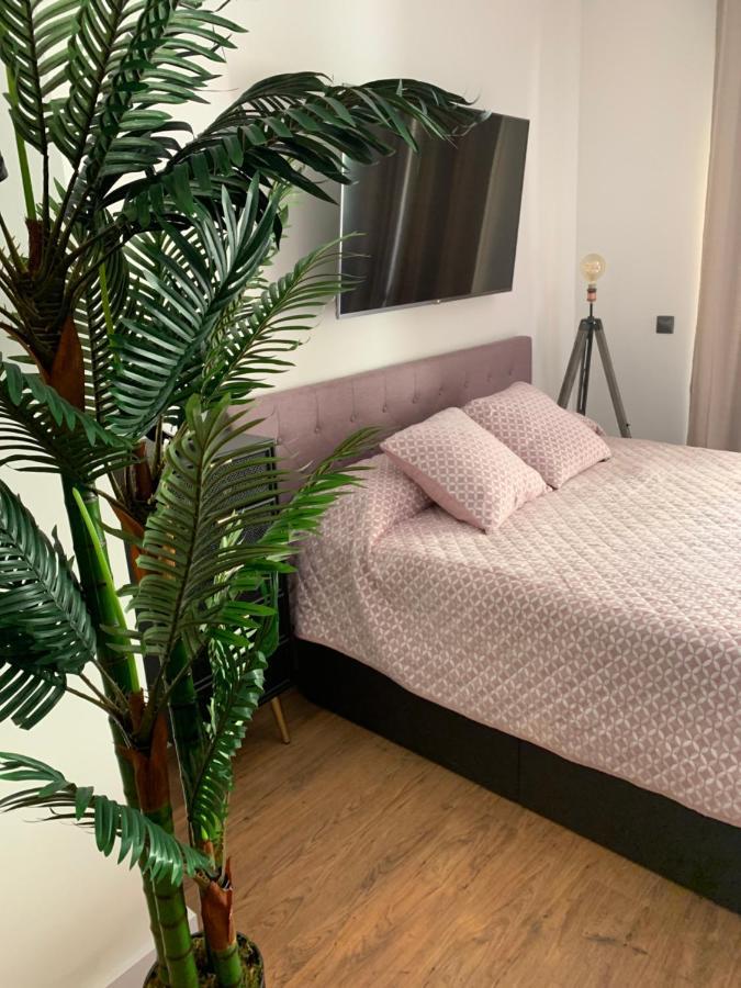 Loft De Lujo Con Piscina La Envia Daire Vícar Dış mekan fotoğraf